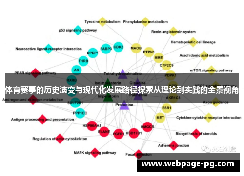 体育赛事的历史演变与现代化发展路径探索从理论到实践的全景视角