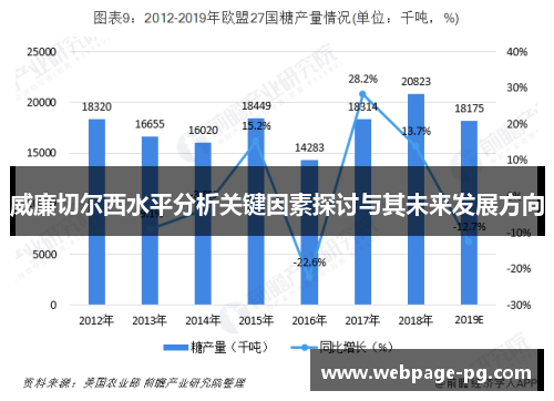 威廉切尔西水平分析关键因素探讨与其未来发展方向