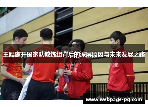 王皓离开国家队教练组背后的深层原因与未来发展之路
