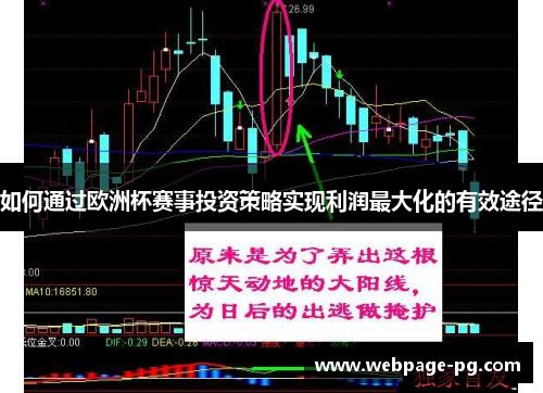 如何通过欧洲杯赛事投资策略实现利润最大化的有效途径 如何通过欧洲杯赛事投资策略实现利润最大化的有效途径