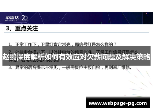 赵鹏深度解析如何有效应对欠薪问题及解决策略